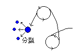 l-mn,TR